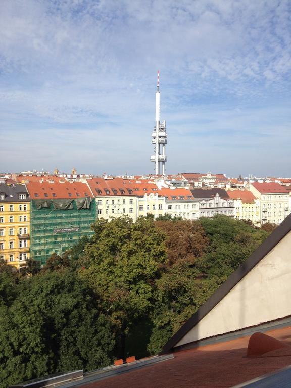 Apartment Penthouse In Vinohrady Prag